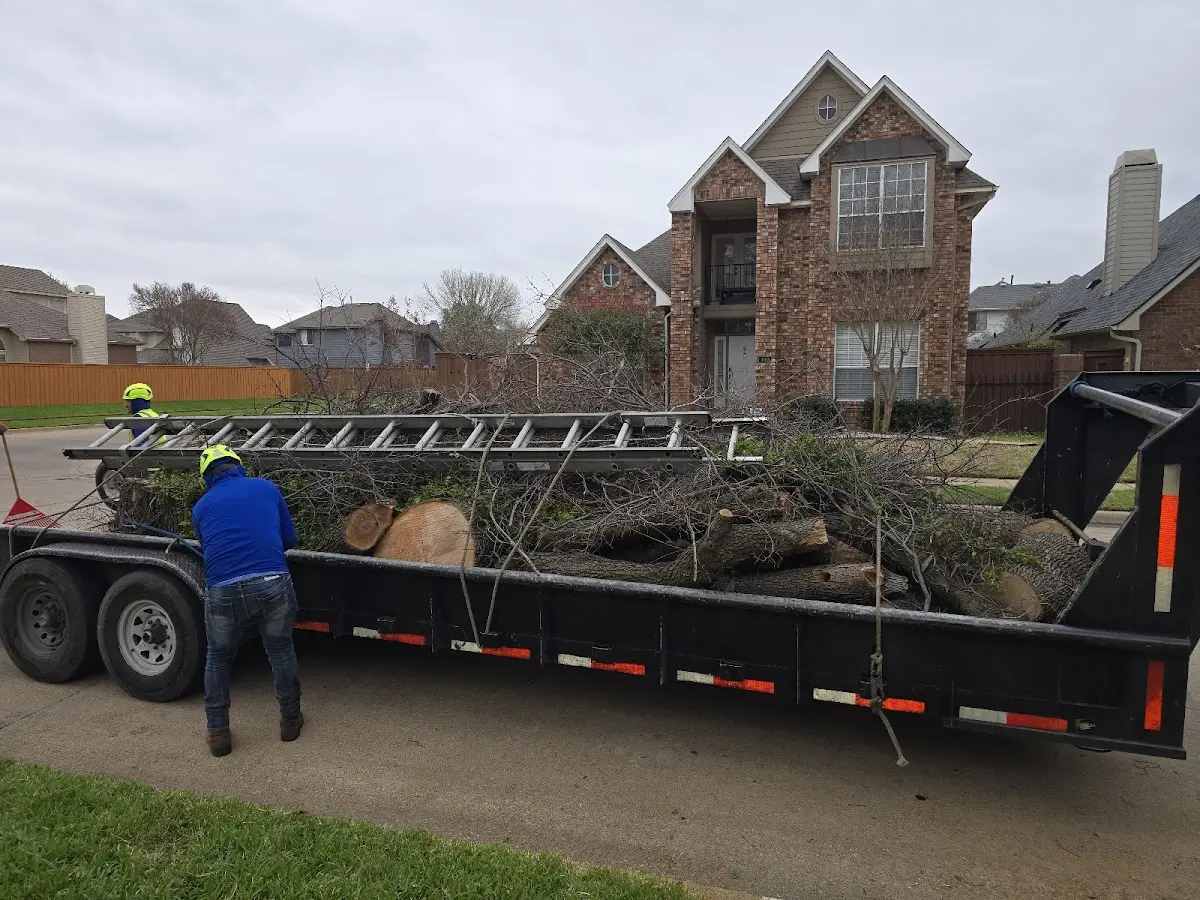 Expert Lot Clearing with proper safety equipment in Cross Junction